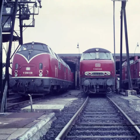 Diesel 800011901 (1)